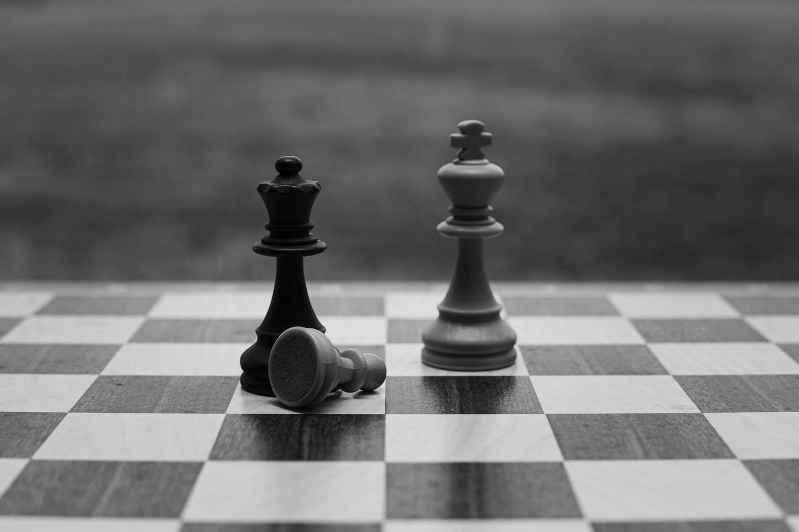 Nordblick Strategie
